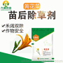 金顶点黄花菜田专用苗后除草剂 厂家生产批发 禾阔双除