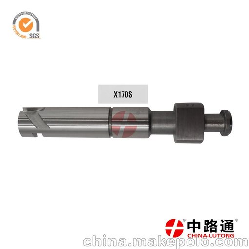 適配于整體式帶法蘭柱塞偶件圖片