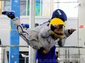 湖北武汉3.0封闭循环式室内娱乐风洞设备生产厂家