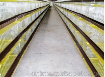 豸г۸¡豸ֳ豸