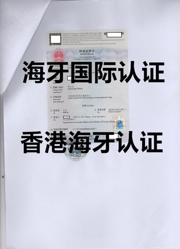 南非海牙公約認證商標(biāo)注冊證書圖片