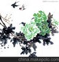 远风油画布厂家钻石画专用油画布明星产品