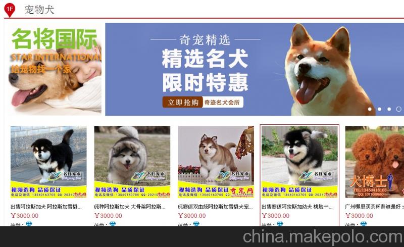 奇寵網汨羅代理