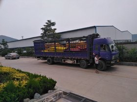 Cếh/ݔͱ-ڪMխ(chng)ʩ