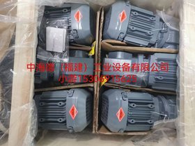 SEW׃lMDX61B0015-5A3-4-00