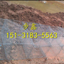 步鑫石笼网厂家直销现货8*10锌铝合金石笼网箱 高尔凡格宾网箱