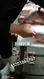 郑州猪肉去皮机去哪里买，怎样选择猪肉去皮机？