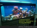 水族箱全市较低价,店里样缸4.5~6折中