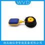 LM-B-FM-S3液位開(kāi)關(guān)浮球式 WVD