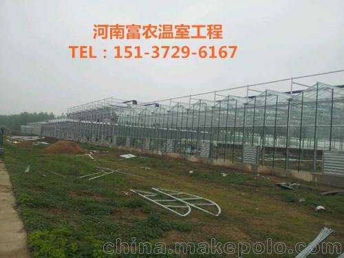 山西連棟大棚溫室價(jià)格、河南專(zhuān)業(yè)溫室大棚制造企業(yè)圖片