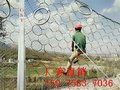 直销RXI-075被动防护网@RXI-075被动网现货