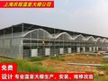8430连体温室大棚 连体大棚厂家 塑料温室大棚维修