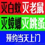 南昌专业灭跳蚤公司 南昌杀虫公司 根除跳蚤 南昌消杀公司 灭鼠