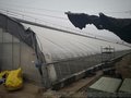 青州优质日光温室 土墙大棚