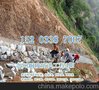 生态护坡铅丝笼 河道护岸镀锌铅丝石笼  护堤格宾网箱