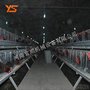 阶梯式种鸡笼 蛋鸡笼公鸡笼全自动化养鸡设备