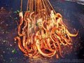 安徽学铁板鱿鱼技术去徽湘情缘厨师学校