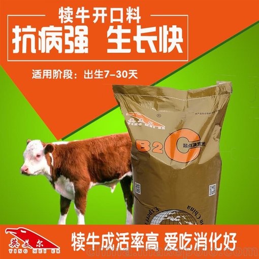 淺談如何提高小牛存活率圖片
