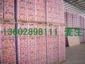 的廣州盛之源水果冷庫(kù)租賃公司推薦_水