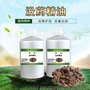 没药精油 单方精油 护肤香薰 按摩 刮痧 精油