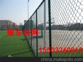 冬季将电焊网片弯成弧形制挡风棚
