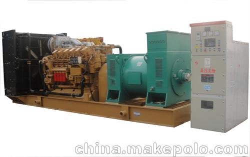 博柴機電(圖)_環(huán)?？得魉拱l(fā)電機圖片
