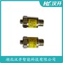 湖北漢開 一體化振動溫度變送器WY-BSQ020A