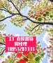 咪唑烷基脲活性染料坯-布染色棉布硅酸棉纖維-染料上