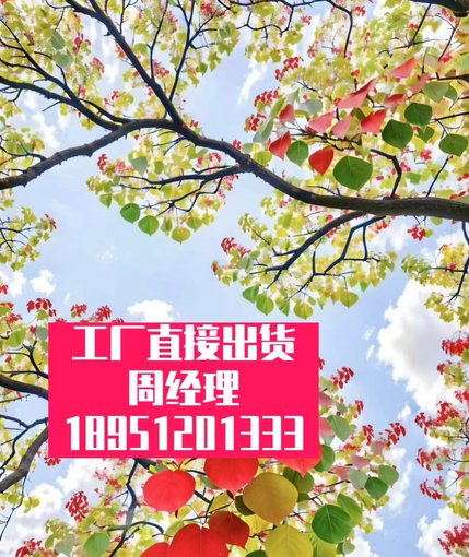 隔熱水性涂料多孔納米-填充型汽車(chē)剎車(chē)片陶瓷-陶瓷材圖片
