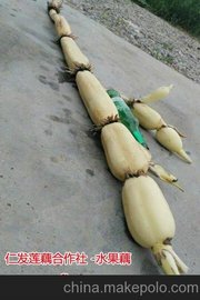 (yng)ʰl(f)ɏźˮź KSһ̖ˮź