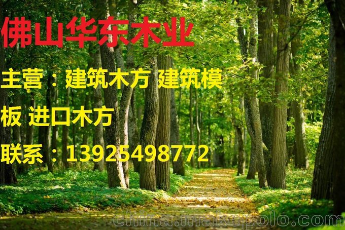 佛山南海建筑方木公司 進(jìn)口澳松木方廠(chǎng)家 建筑模板批發(fā)圖片