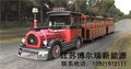 观光车型号,观光车,江苏博尔瑞新能源(在线咨询)