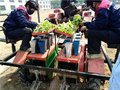 宁津县金利达生产的田耐尔蔬菜秧苗移栽机，全国水平，厂家直销