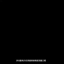 多功能電力儀表PD194E-9S4/M