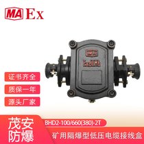 S(chng)ҹV÷ͨӾ(xin)BHD2-100/660(380)-4T