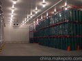 出售松江肉类冷冻库-水产低冷库-果蔬冷藏库招租，上海冷库出租