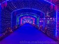 户外灯光节灯光展炫彩灯光出租