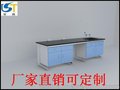 试剂架万向罩实验室实验台边台 订做中央实验台药品柜通风设备