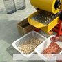 热销花生种子脱壳机 剥皮干净无破损 花生剥壳机