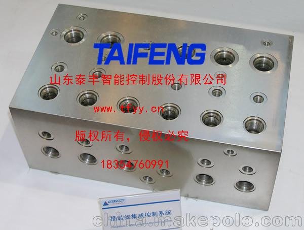 山東泰豐廠家供應(yīng)典型螺紋插裝閥集成塊圖片