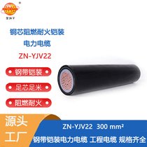 h(hun)| (lin)ϩ^ͻȼ|ZN-YJV22-300