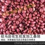 东北花生米批发价格