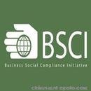 ṩBSCI/ISO9000ϵ/CCC/TS16949֤ѵѯ