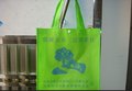 广西南宁无纺布袋  环保袋  批发订做 厂家直供