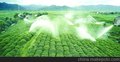 供应智能压蔬菜大喷监控与控制系统
