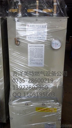 深圳中邦300KG/H電熱氣化器廠(chǎng)家圖片
