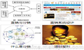 哈尔滨双轨直销软件开发发，直推俩人得奖金