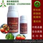奥力克青枯立克 杀菌剂 治疗 番茄根腐病 青枯病，立枯病 特效药