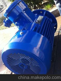 電氣能源設(shè)備應(yīng)用三相異步防爆電動(dòng)機(jī) 特殊要求電機(jī)產(chǎn)品詳情介紹