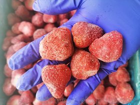 加工批发新鲜冷冻草莓速冻水果果肉果粒